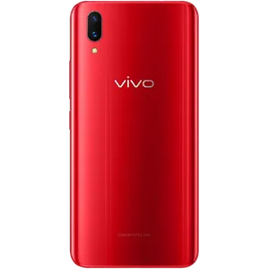 Vivo X21