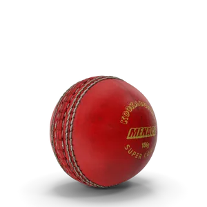 Cricket Ball